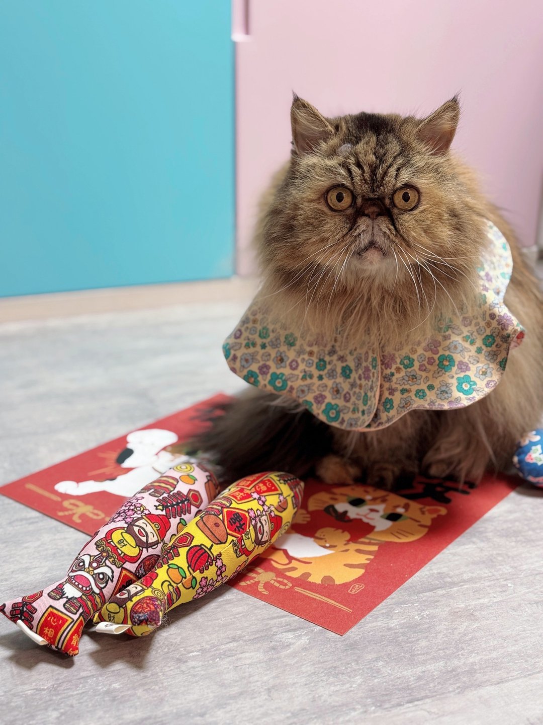 新年款 猫草鱼玩具 内有铛铛声 新鲜制造 - 玩具 - 棉 多色