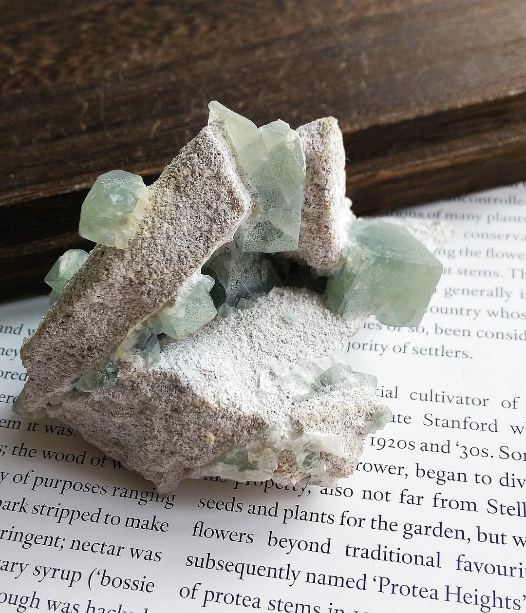 Fluorite 内蒙产地 莫兰迪绿 绿萤石 天然矿石 原矿 - 摆饰 - 其他材质 