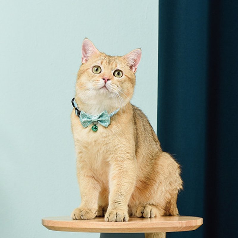 【DOGNESS多尼斯】猫咪项圈2入组(共18款)  宠物项圈 猫项圈 外出 - 项圈/牵绳 - 其他材质 多色