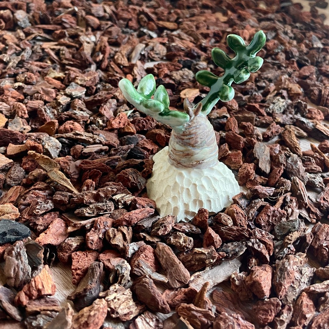 【陶多肉植物-苏铁】香氛精油 扩香石 戒台 手作 礼物 多肉 摆饰 - 香薰/精油/线香 - 陶 绿色