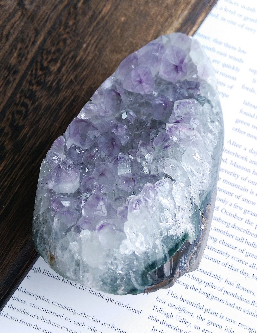 Amethyst  乌拉圭产地 原皮紫水晶  紫水晶晶镇 天然矿石 原矿 - 摆饰 - 其他材质 