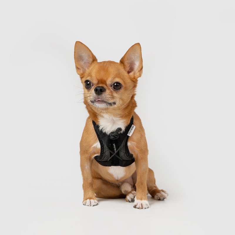 SPUTNIK 终极胸背带 - XS号 - 项圈/牵绳 - 其他材质 黑色