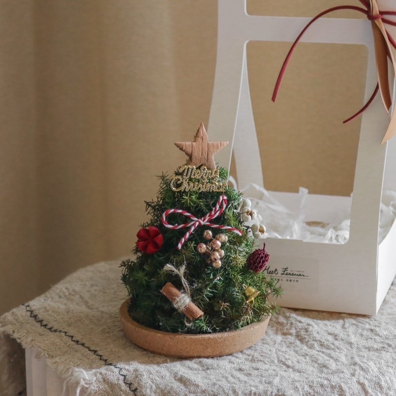 【遇见恒久】时光童话日本进口永生不凋雪松圣诞树 含盒 - 干燥花/捧花 - 植物．花 