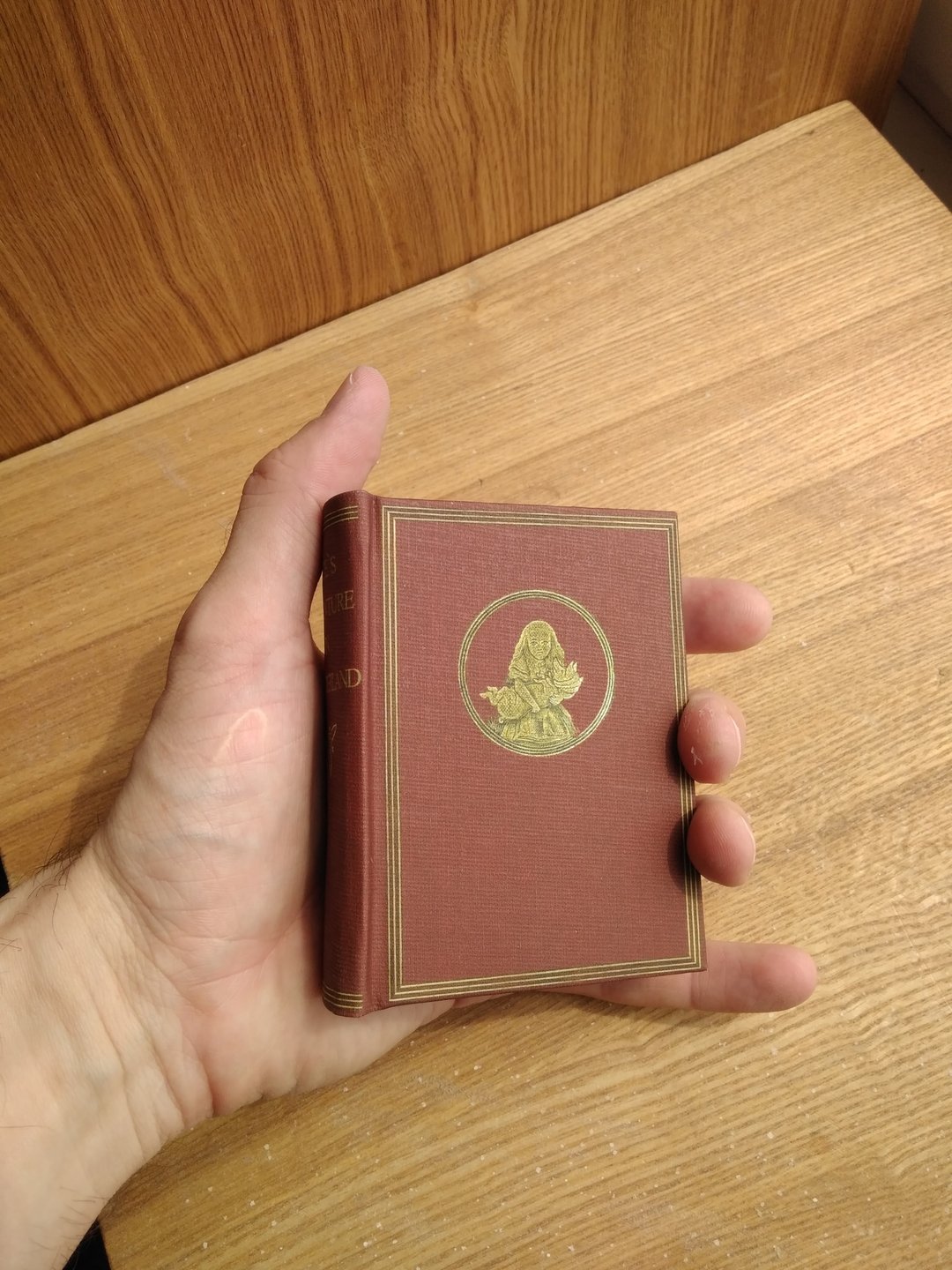 路易斯·卡罗。爱丽丝梦游仙境。一本小巧精致的实体书，重现初版风格。 - 刊物/书籍 - 纸 红色