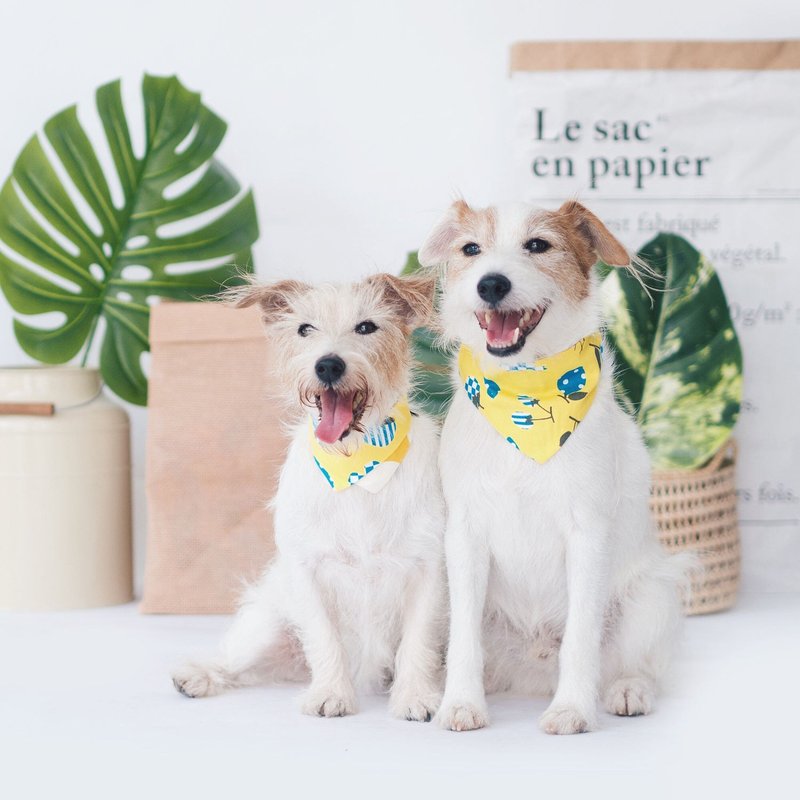 夏日水果图案领巾 - 衣/帽 - 棉．麻 黄色