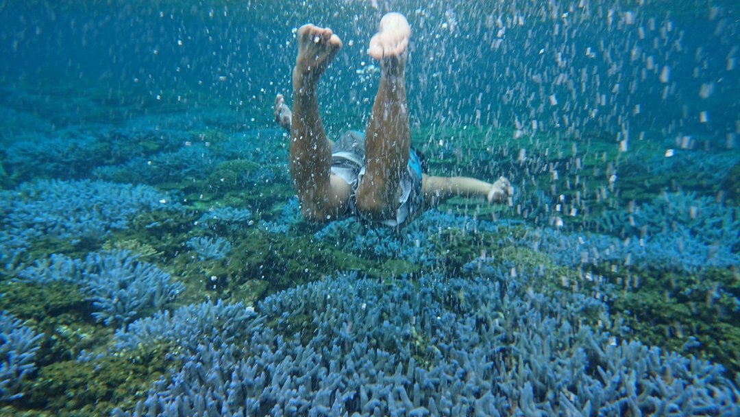 东吉岛・梦幻薰衣草森林秘境保育生态之旅・3 天 2 夜 - 深度旅游 - 其他材质 