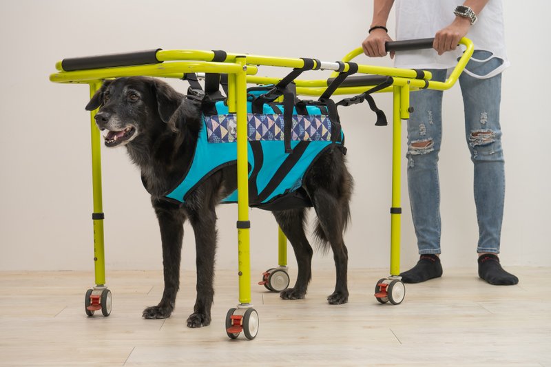 宠物助行器  高龄犬 老犬 行动不便 宠物辅具 协助行走  台湾制造 - 其他 - 其他材质 