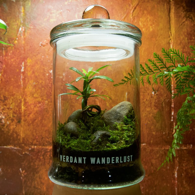 【生态瓶－松屿】微景观 室内植栽 礼物 办公室摆设 - 植栽/盆栽 - 玻璃 绿色