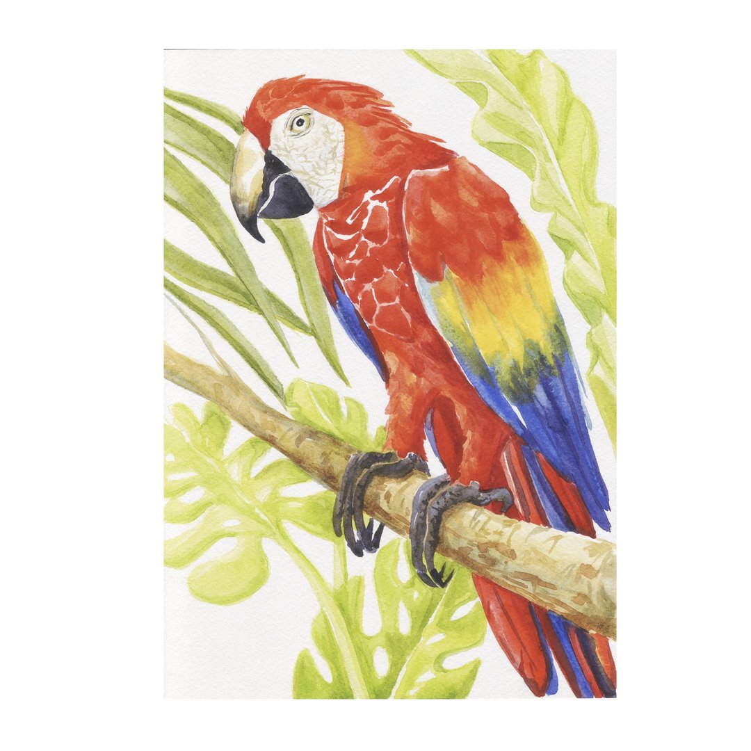 Macaw parrot red parrot watercolor art painting animal bird original art artwork - 墙贴/壁贴 - 纸 多色