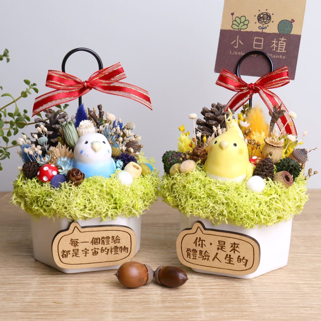 玄凤虎皮鹦鹉 鸟宝 干燥花名片夹 附定制字牌 升职生日毕业礼物 - 名片架/名片座 - 瓷 白色