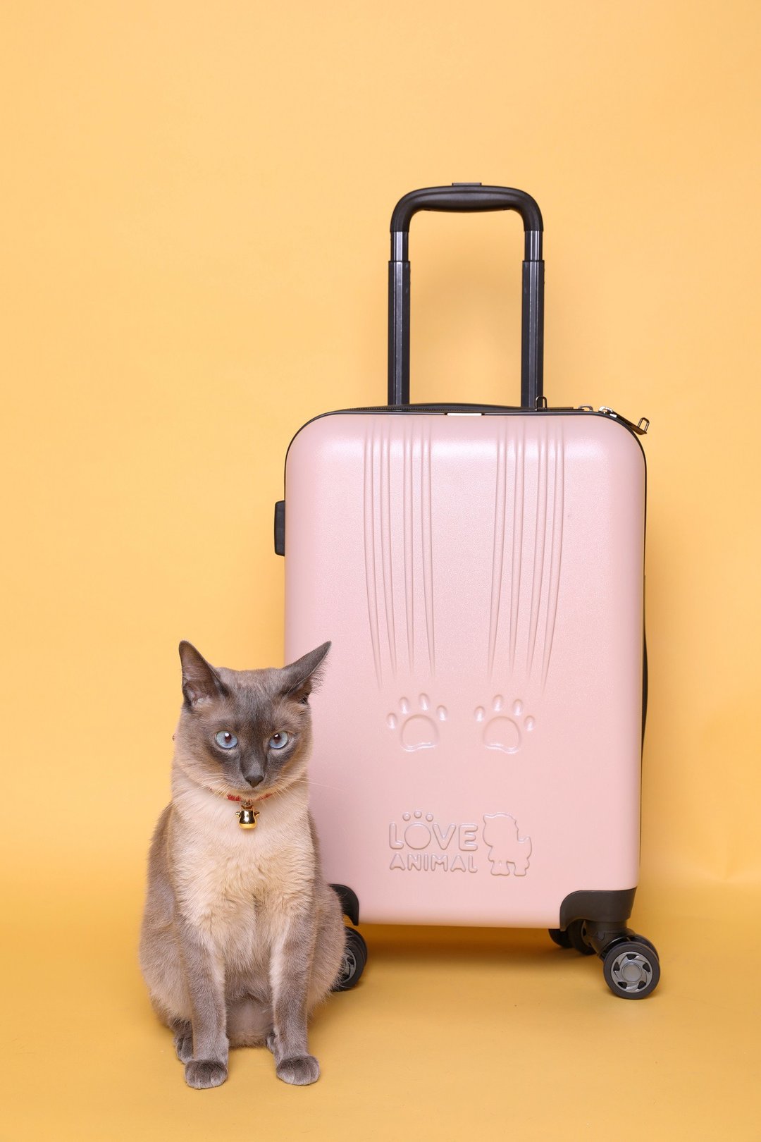 A.T.L.A x PRINCESS TRAVELLER 猫爪痕旅行箱 (20 / 24寸) - 行李箱/行李箱保护套 - 其他材质 粉红色