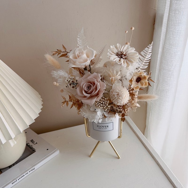 白金永生盆花 - 摆饰 - 植物．花 