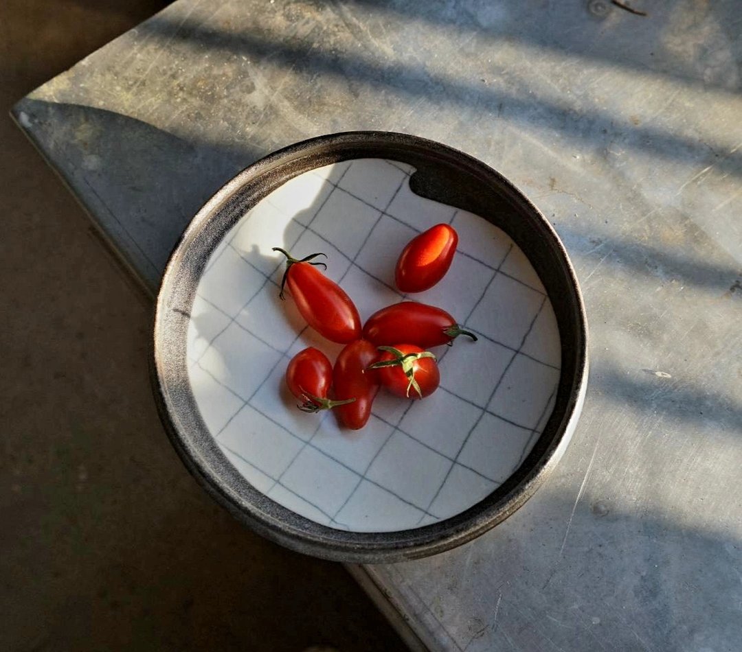格纹圆盘 - 盘子/餐盘/盘架 - 瓷 