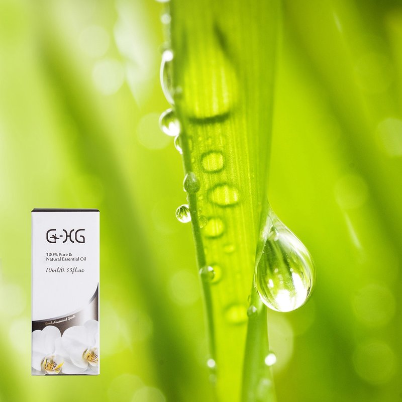 草本.种子类 - 100% 天然纯精油 -10ml - 香薰/精油/线香 - 玻璃 透明