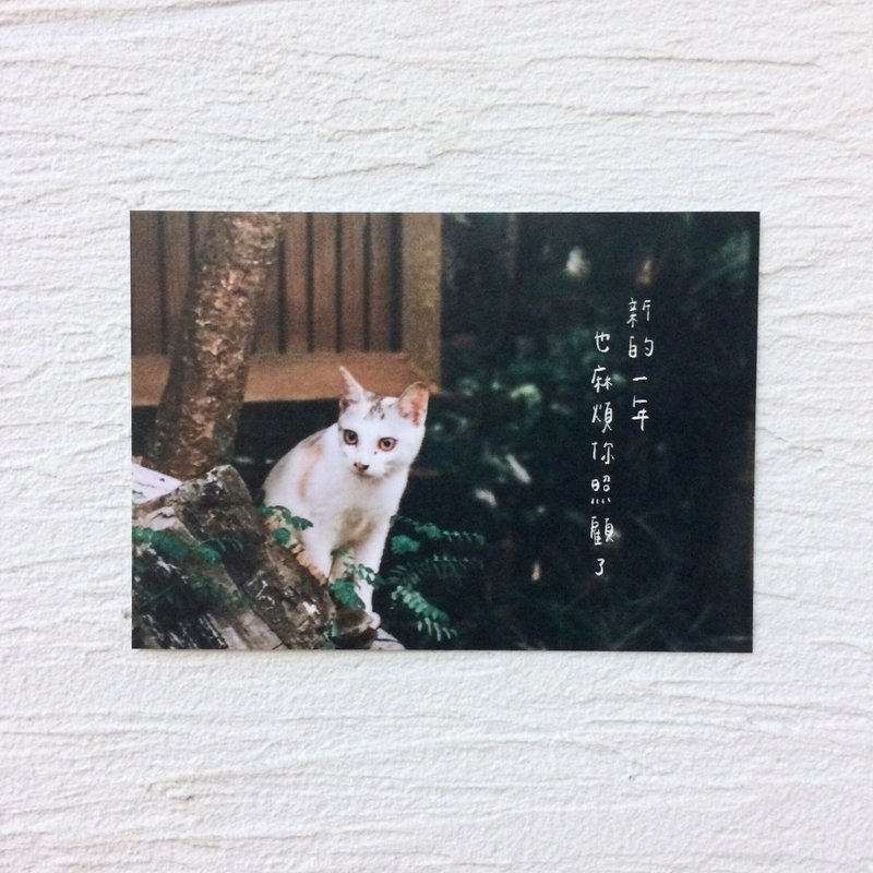 新年快乐 明信片 - 卡片/明信片 - 纸 