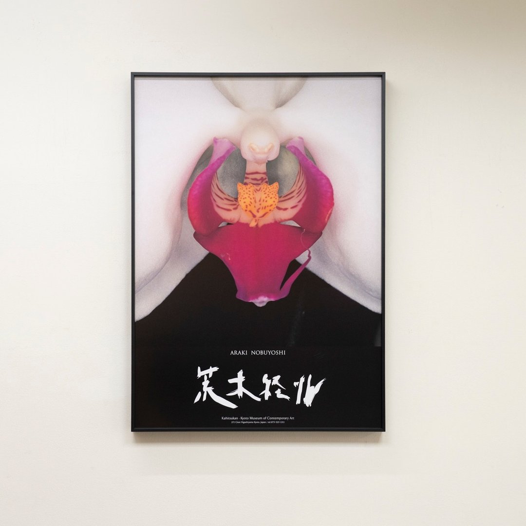 【摄影挂件】荒木经惟 Araki - 花曲 - 海报/装饰画/版画 - 纸 