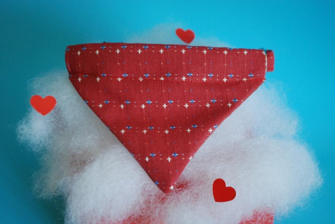 A-NI Dog Collar and Puppy Valentine's version - 项圈/牵绳 - 棉 粉红色