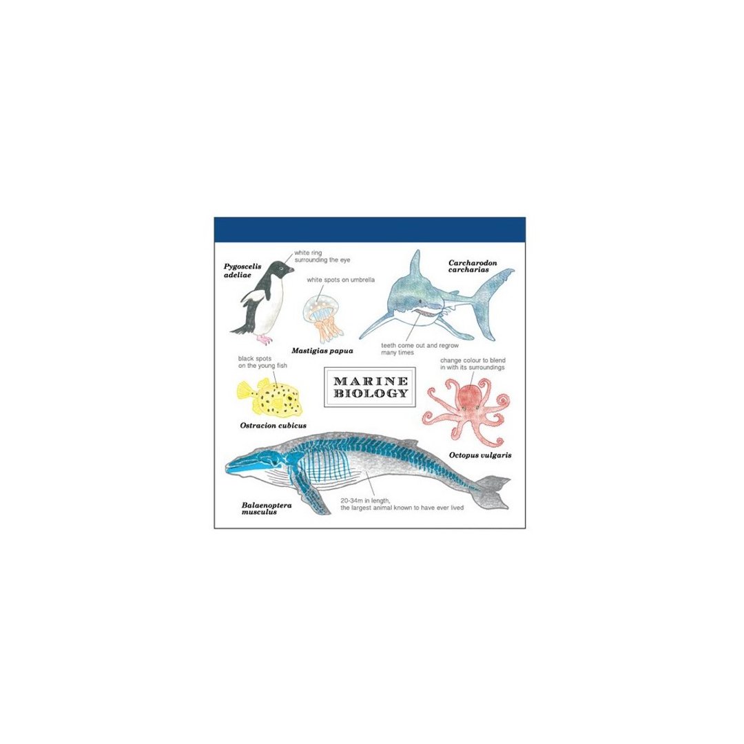 日本 便条本 海洋生物学 - 便条纸/标签贴 - 纸 