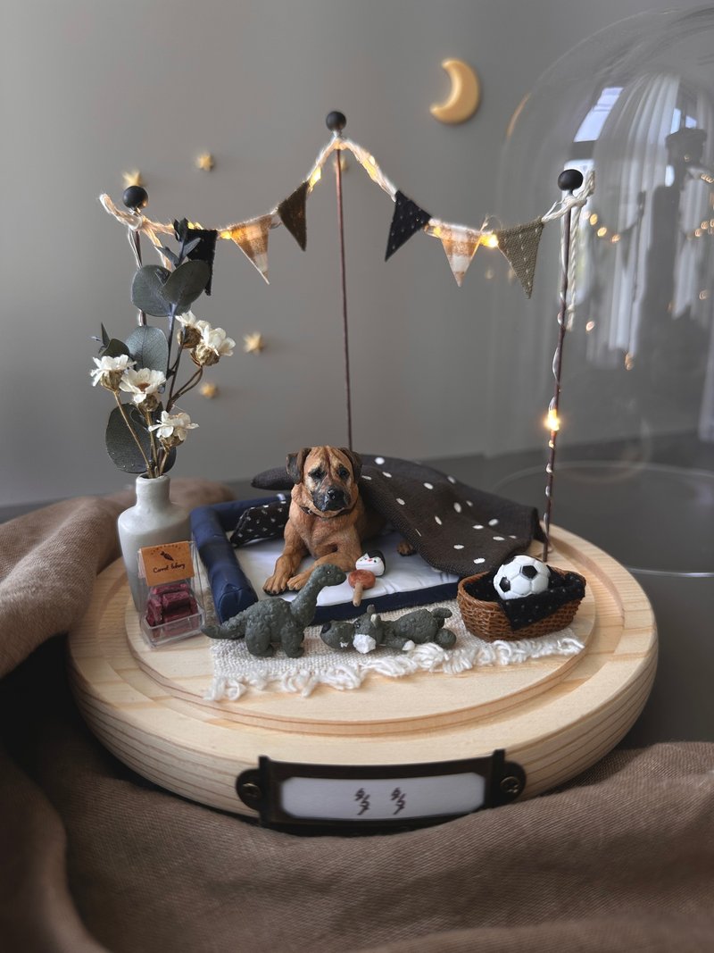 【定制全身宠物】订制床另外报价 暖光小窝 中玻璃罩 - 其他 - 其他材质 