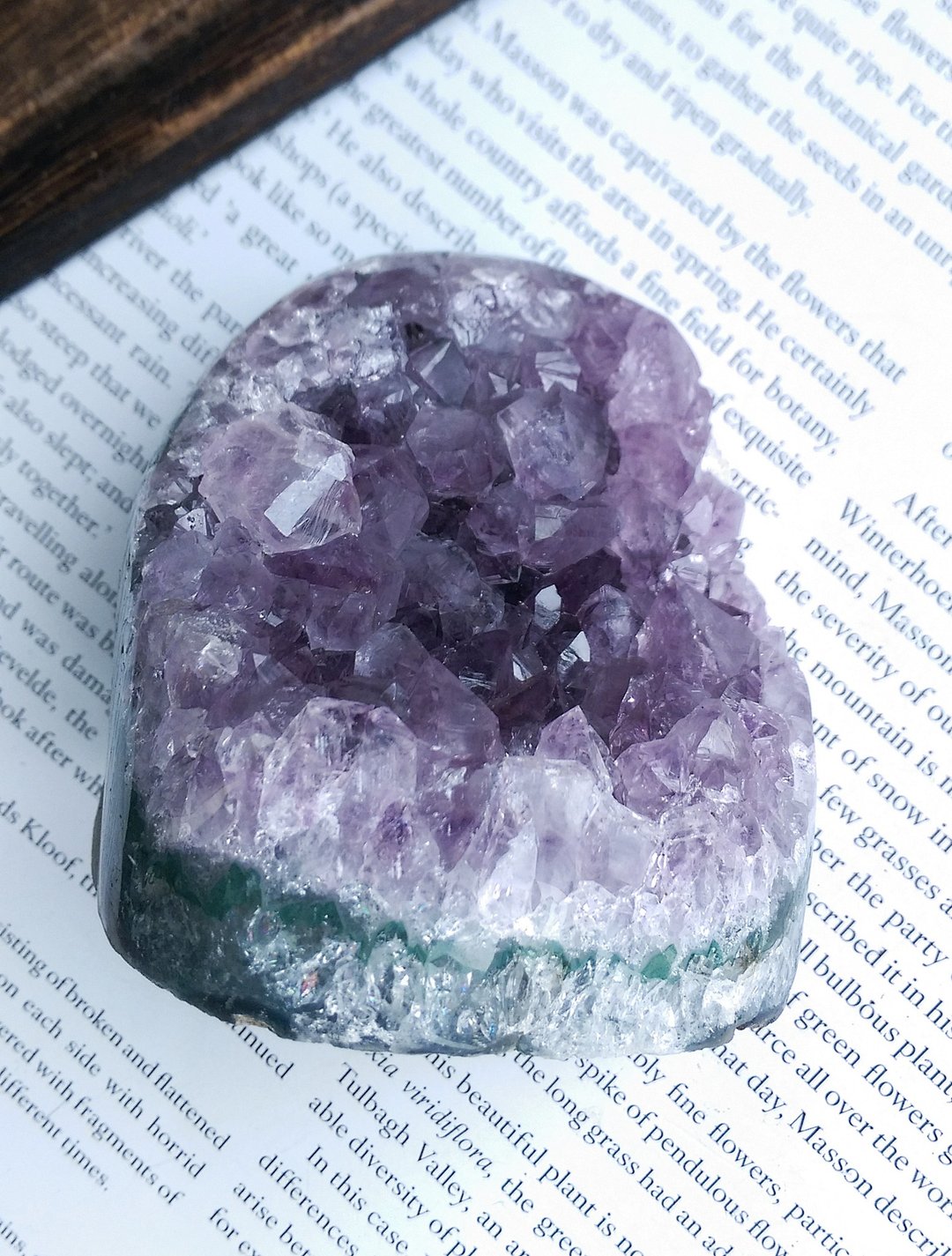 Amethyst  乌拉圭产地 原皮紫水晶  紫水晶晶镇 天然矿石 原矿 - 摆饰 - 其他材质 
