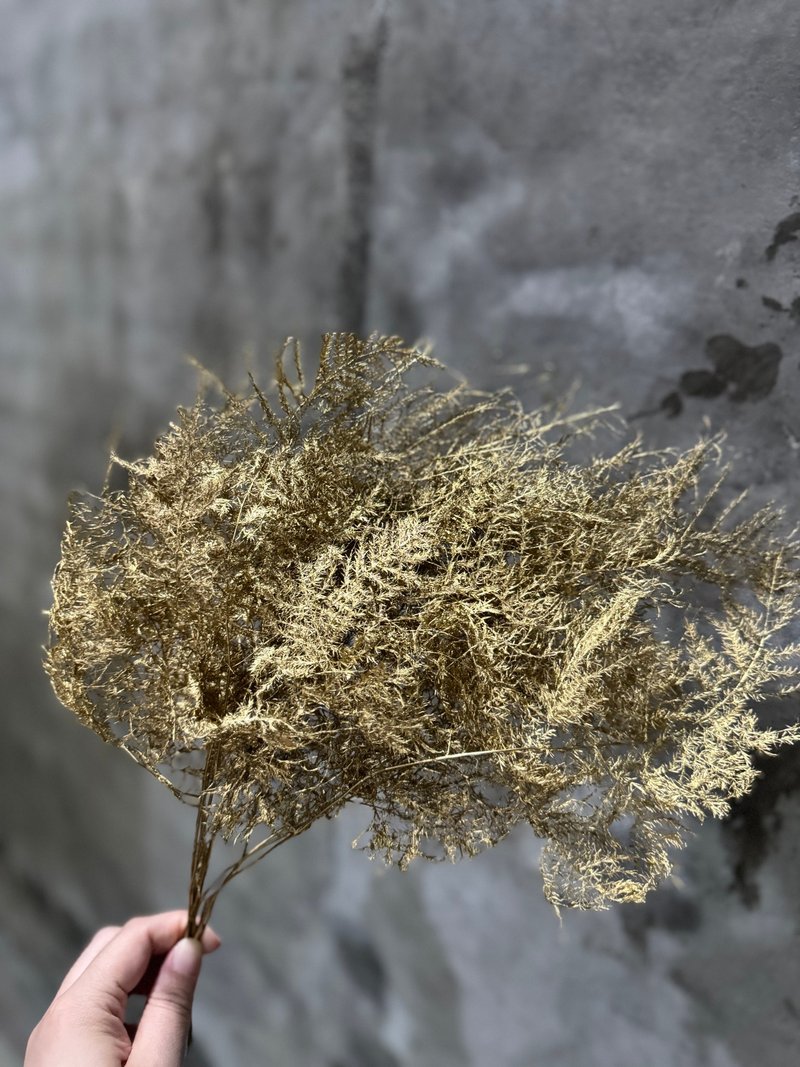 2024飘逸浪漫圣诞色金文竹干燥花 圣诞花摆饰 - 干燥花/捧花 - 植物．花 金色