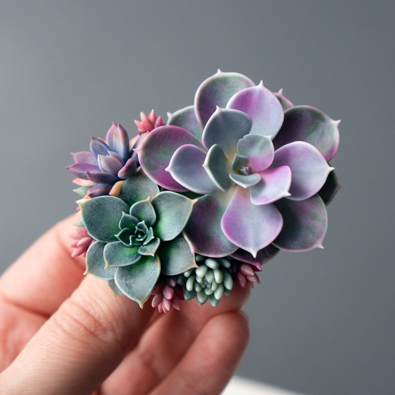 大型胸针，饰有 Echeveria Perle von Nurnberg - 胸针 - 其他材质 