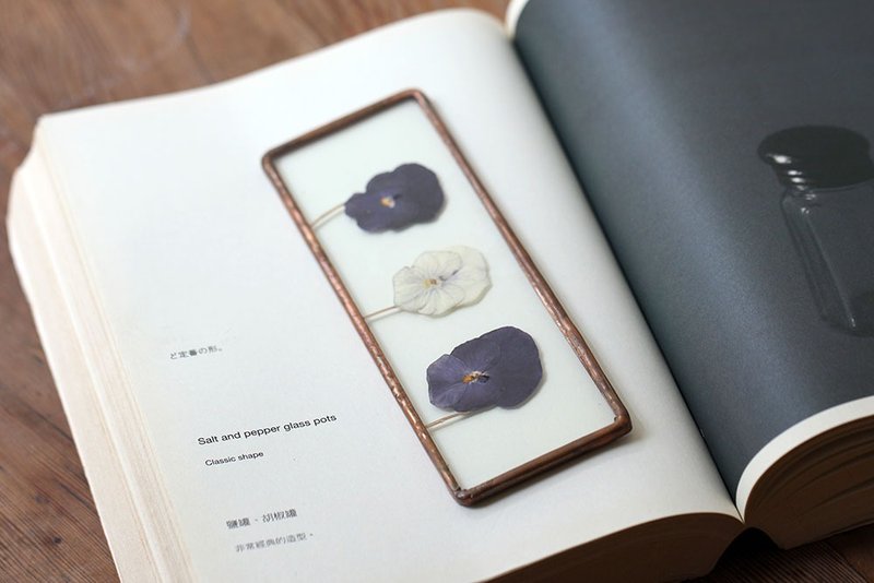 植物图鉴∣香堇∣玻璃镶崁∣花草标本 - 干燥花/捧花 - 植物．花 白色