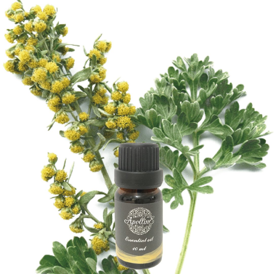 艾草精油 WORMWOOD - 香薰/精油/线香 - 精油 
