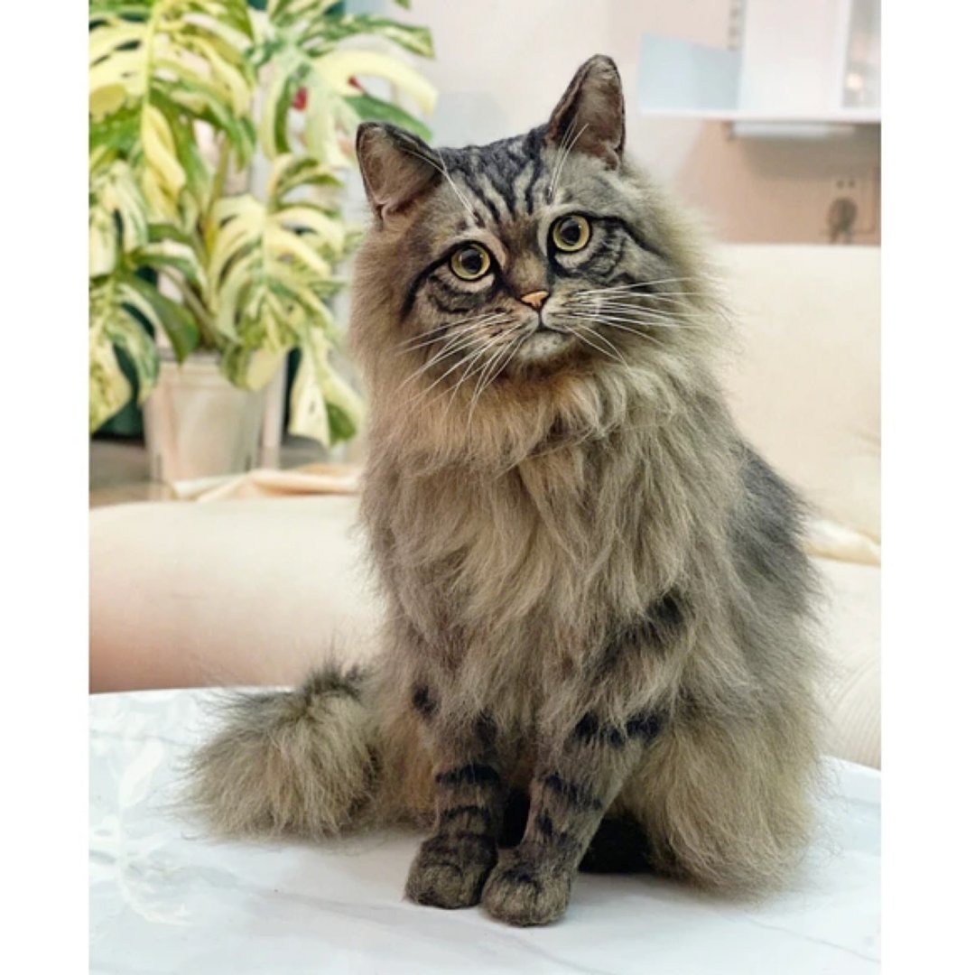 定制化礼物 逼真猫猫 羊毛毡 毛孩 宠物 娃娃 猫咪猫奴 似颜绘 b3 - 玩具 - 羊毛 多色