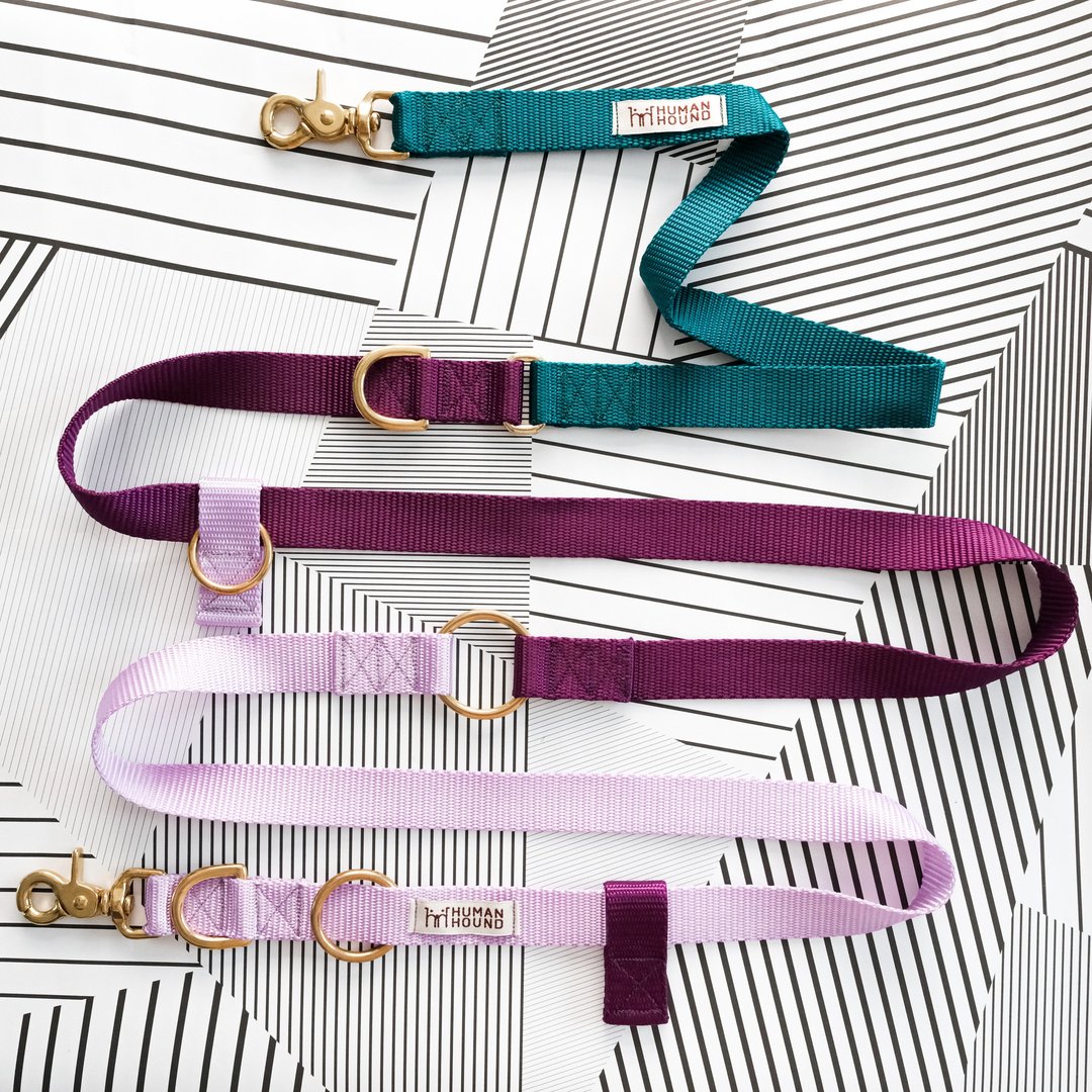 Multifunctional Leash 9 in 1 - The Monster Inc - 其他 - 其他材质 多色