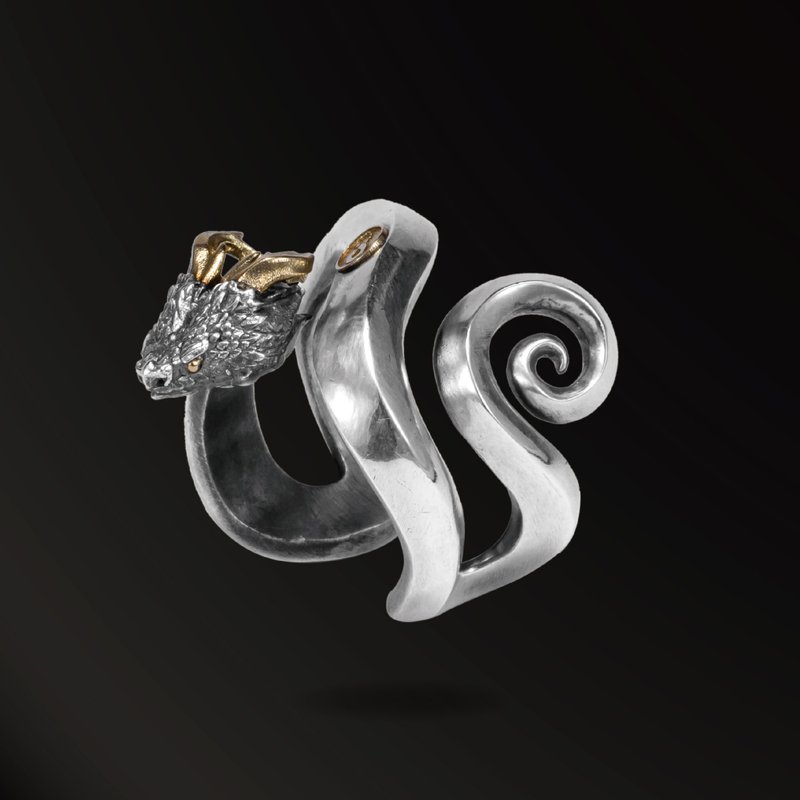 犄角蛇925银 18K金男士男生戒指 蛇戒指 衔尾蛇 复古高街时尚原创 - 戒指 - 银 银色
