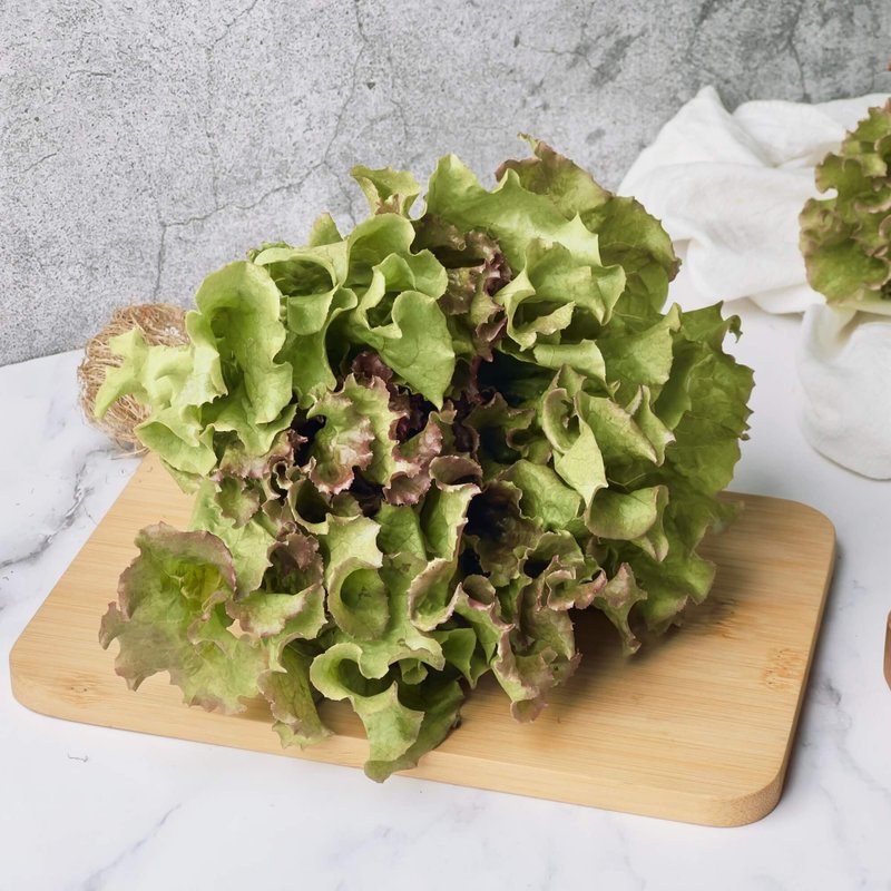 【绿十水耕生菜】红皱叶150g、生菜、沙拉、莴苣、水耕蔬菜 - 其他 - 新鲜食材 