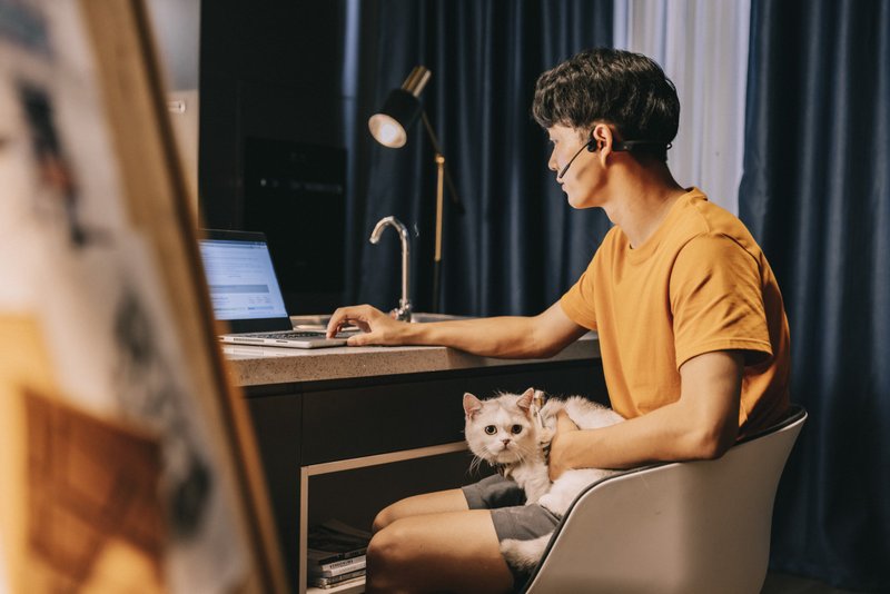 OpenComm 骨传导通讯耳机 - 耳机 - 其他材质 黑色