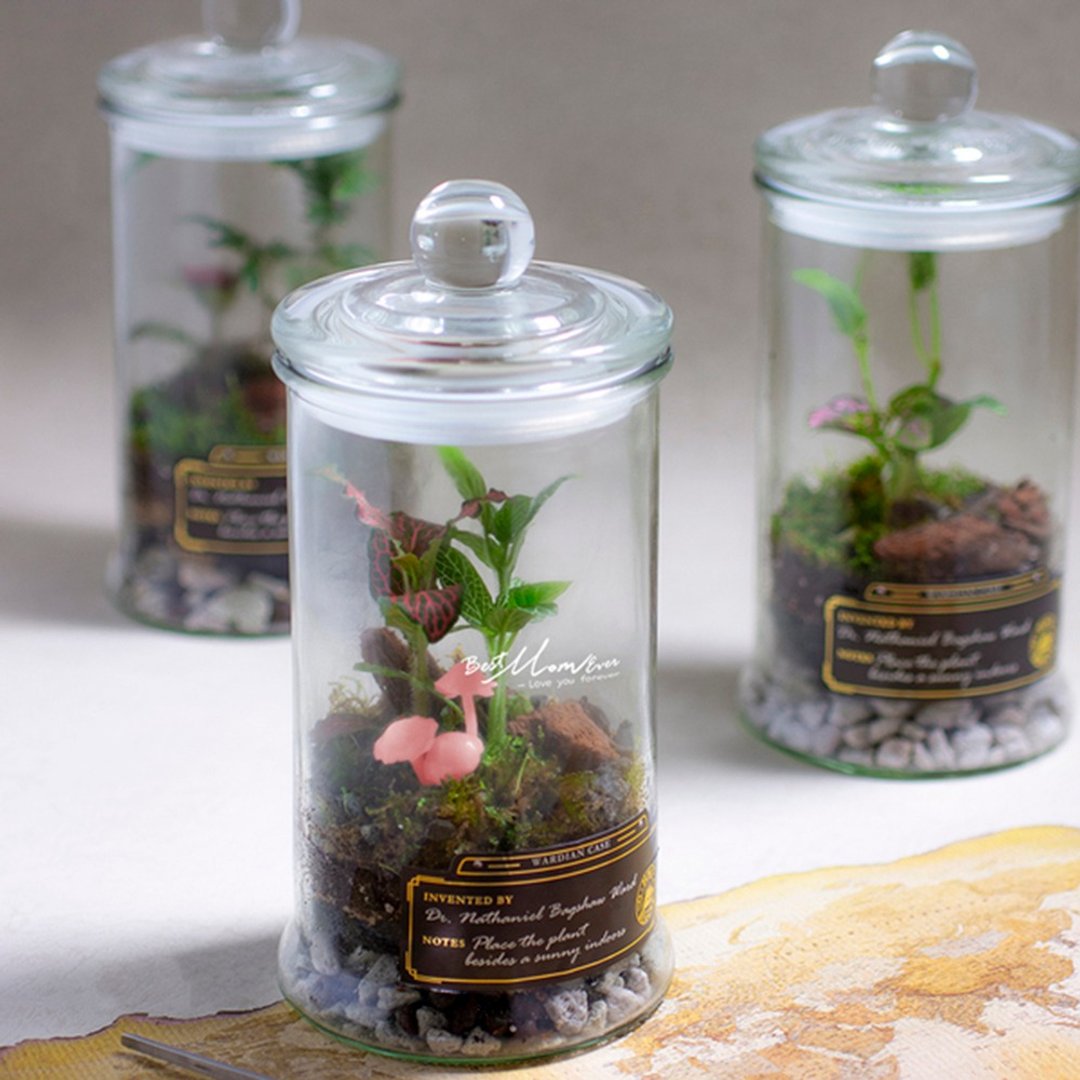 【5月限定】粉红小菇生态瓶 手作DIY材料包/附在线教学影片 - 植栽 - 其他材质 