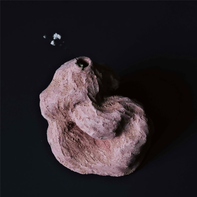 扭来扭去系列-小陶器 - 花瓶/陶器 - 陶 红色