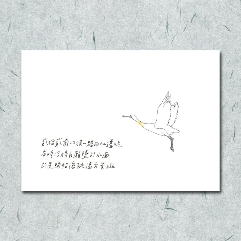 动物与它的诗39/ 黑面琵鹭/ 手绘 /卡片 明信片 - 卡片/明信片 - 纸 