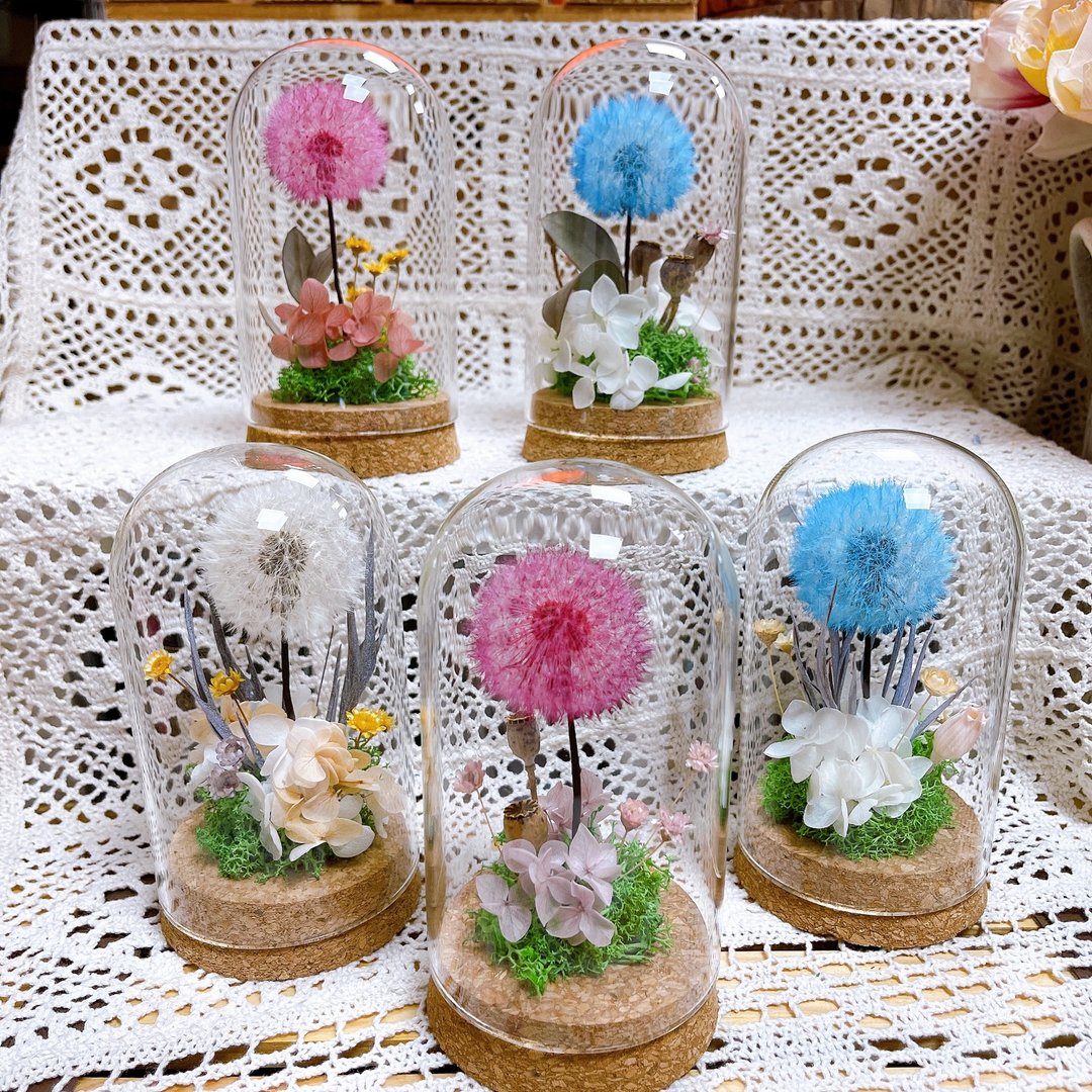 永生蒲公英 - 干燥花/捧花 - 植物．花 