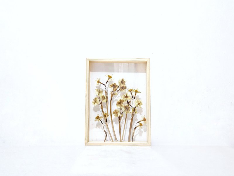 【年花摆设】年花押花 真花压花 水仙 daffodil/ A4 - 摆饰 - 植物．花 黄色