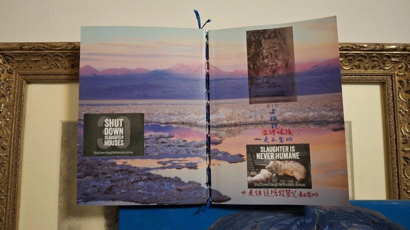 Liuyingchieh 是谁说枪杀婴儿是正常的 010 VEGAN 拼贴艺术家的书 - 刊物/书籍 - 纸 粉红色