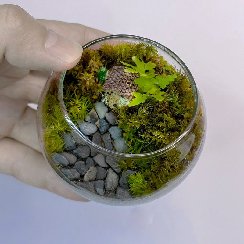 绿野小巢 / 迷你掌上型手工微景观生态盆 - 植栽/盆栽 - 植物．花 