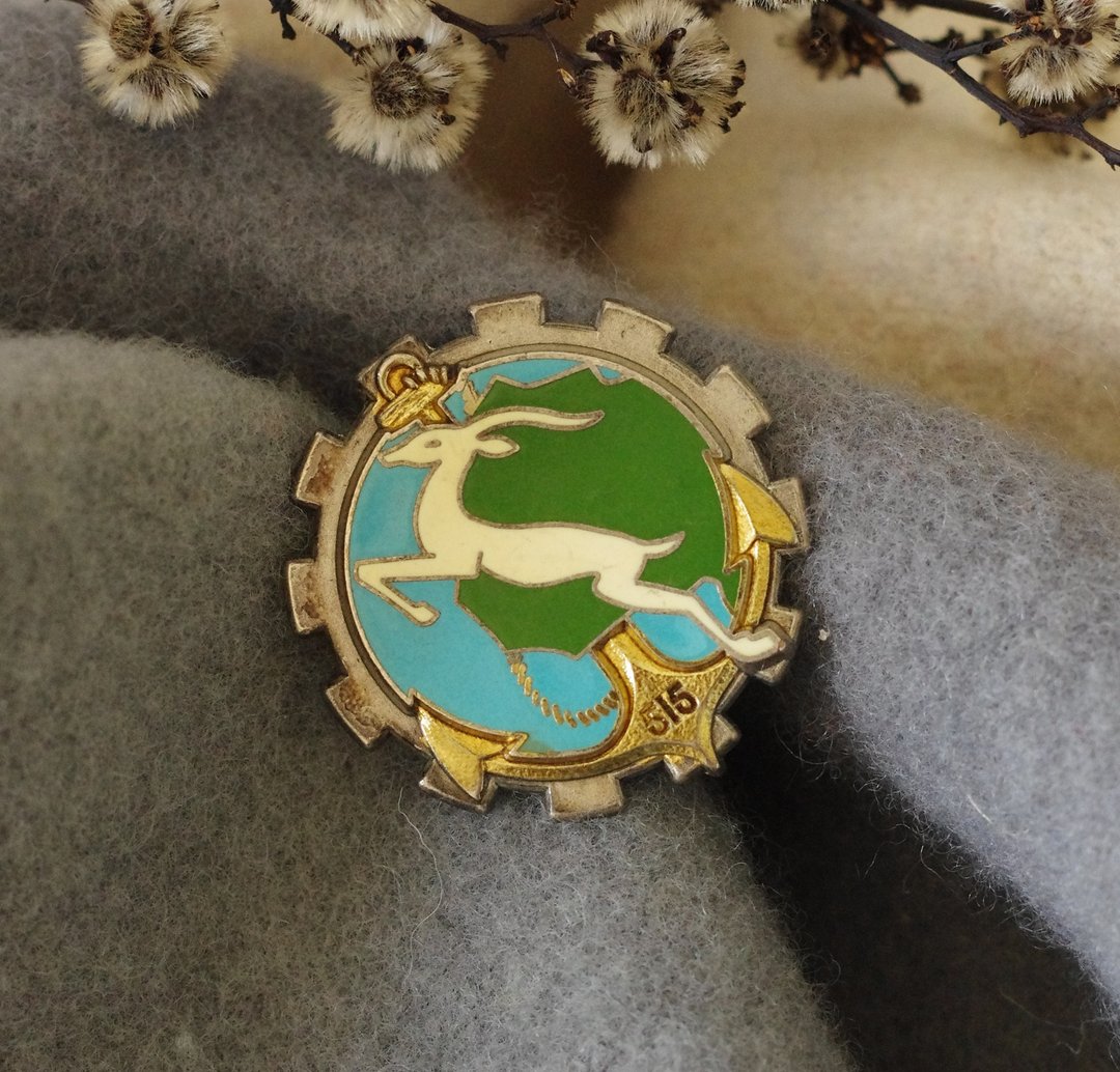 古董法国购入之船锚山羊鹿圆形别针胸针心口针B2102 - 胸针 - 其他金属 银色