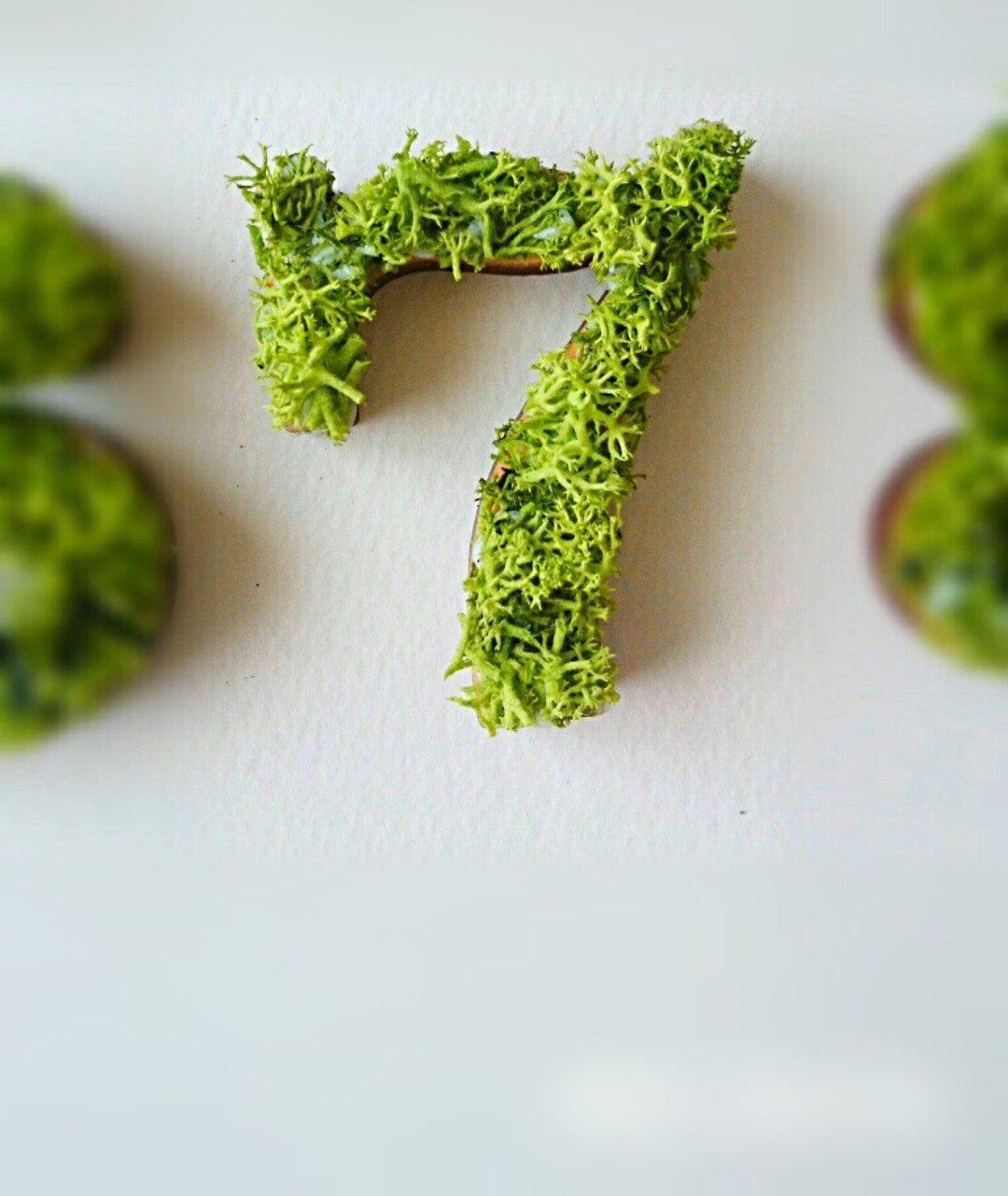 Wooden number object (moss) 5 cm /７x 1 piece - 摆饰 - 木头 绿色