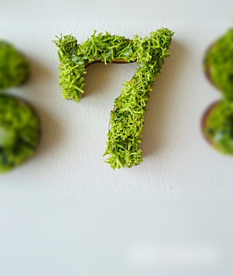 Wooden number object (moss) 5 cm /７x 1 piece - 摆饰 - 木头 绿色
