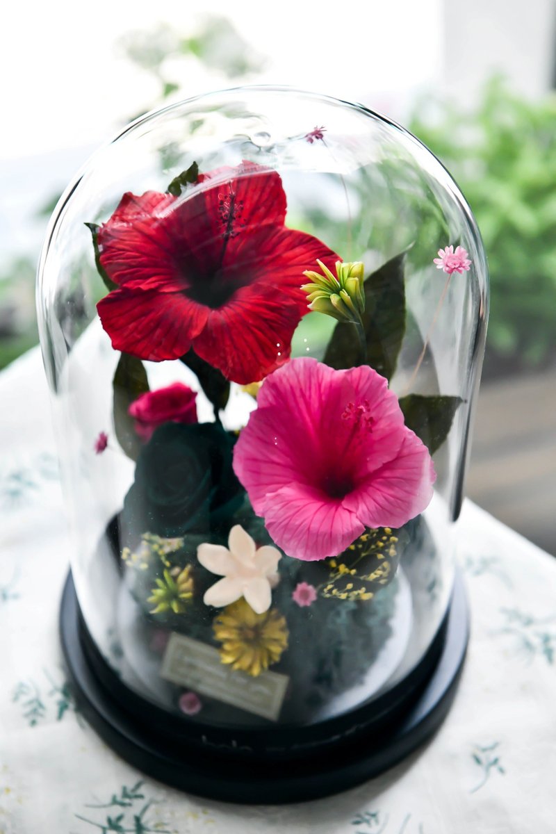 夏日扶桑花园 Summer Hibiscus Glass Dome - 摆饰 - 植物．花 