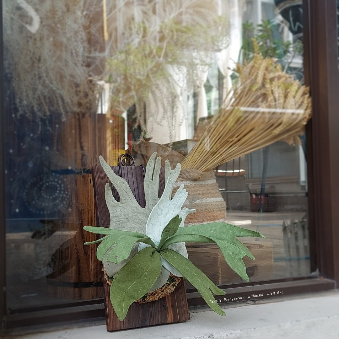 植态写真-小爪哇鹿角蕨壁挂 - 摆饰 - 棉 绿色
