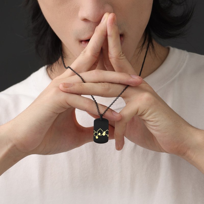 星座项链|男款项链|双鱼座|钛钢镀18k金 - 项链 - 不锈钢 黑色