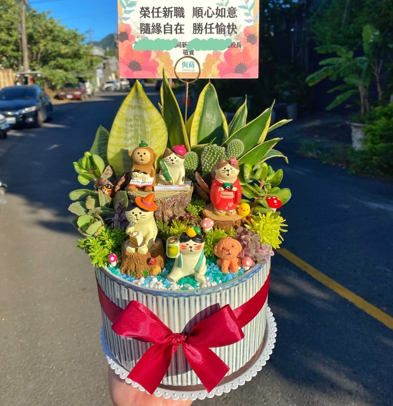 【急单可】蓝纹庭/免费定制卡片/安全运送/室内盆栽/多肉 仙人掌 - 植栽/盆栽 - 植物．花 绿色