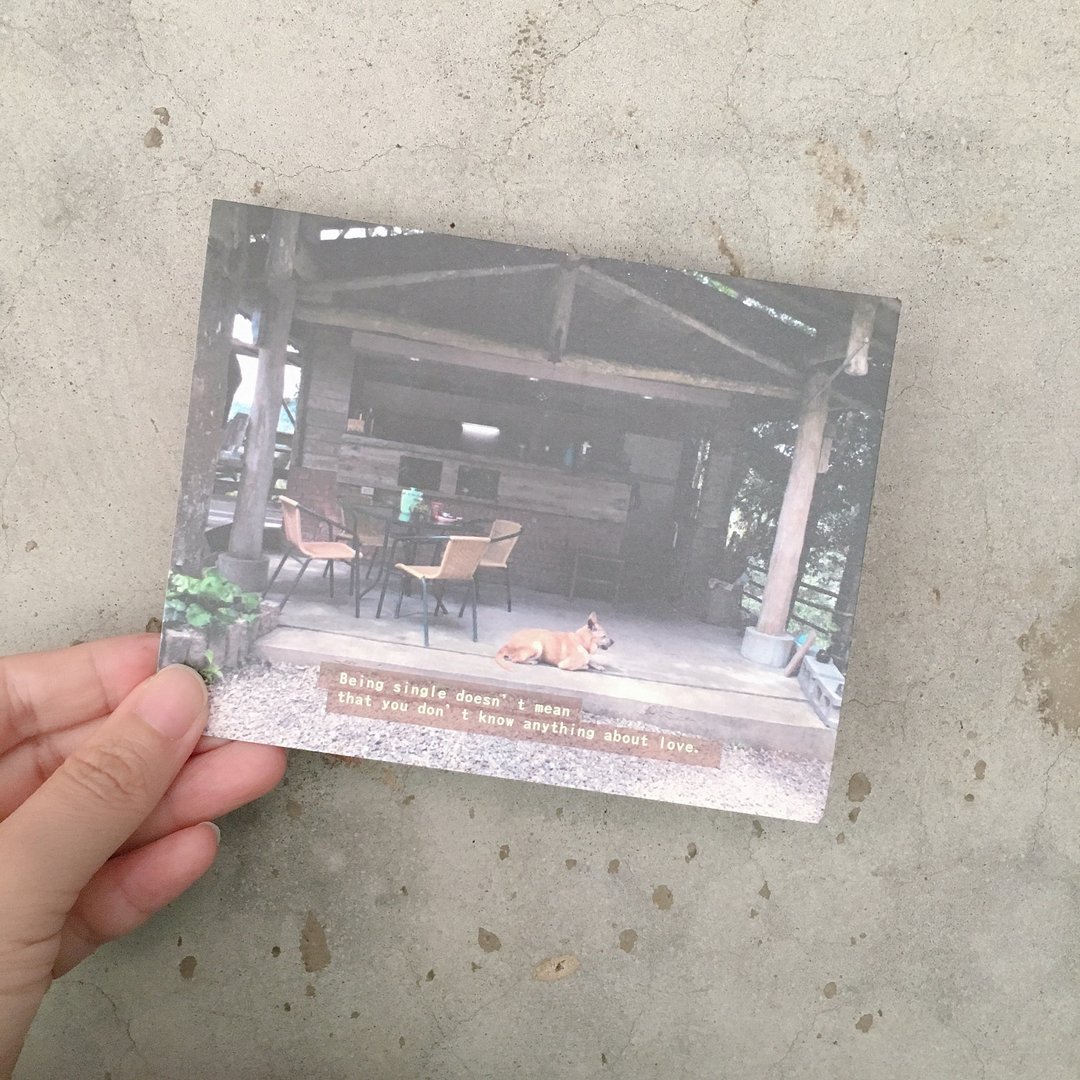 单身 并不意味你不懂爱 明信片 心情酷卡 摄影日常/文 - 卡片/明信片 - 纸 