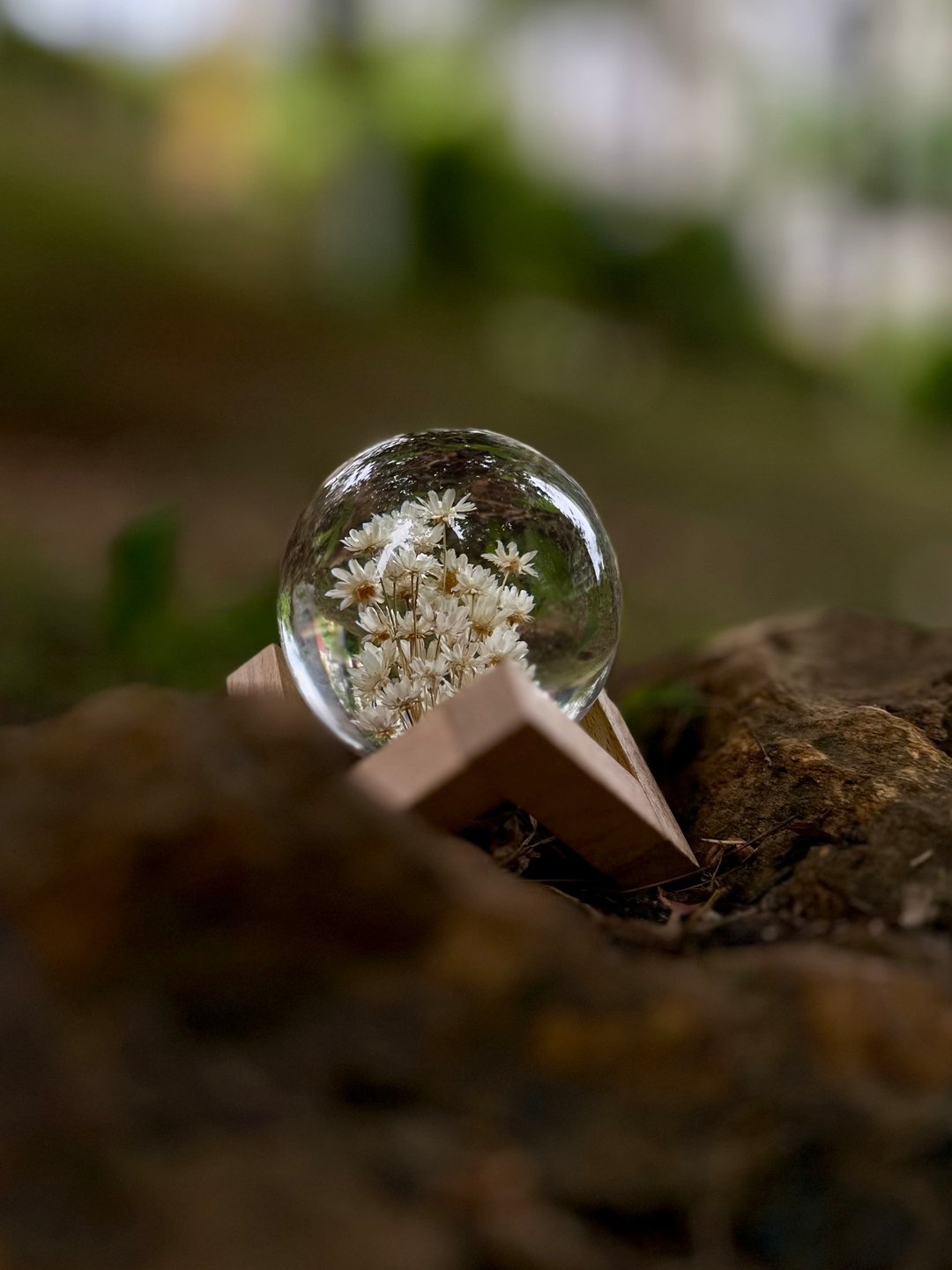 白色雏菊 l 永生花树脂水晶球系列 配支架 - 摆饰 - 树脂 
