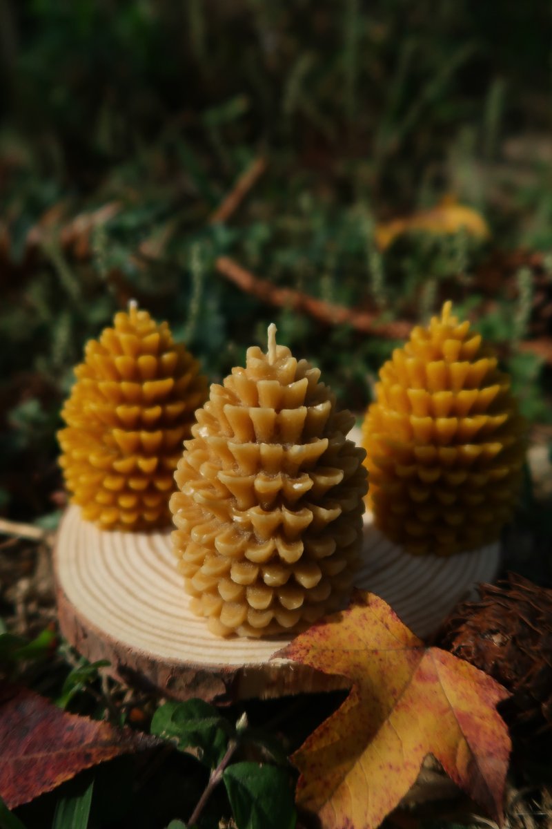 100%天然蜂蜡蜡烛 松果 - 蜡烛/烛台 - 蜡 